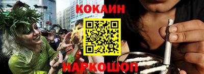 индика Камень-на-Оби